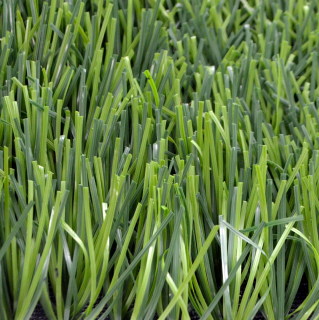 Искусственный газон EcoGrass 55 мм