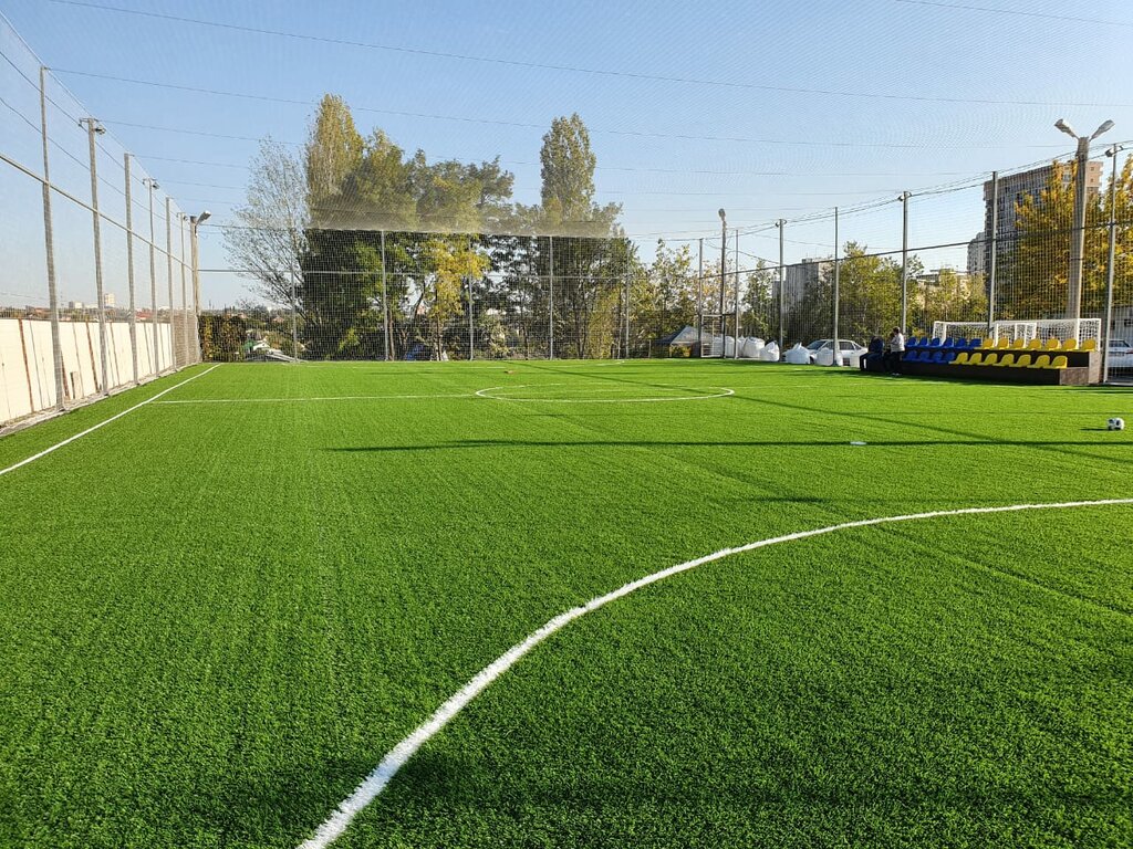 Искусственный газон EcoGrass 55 мм