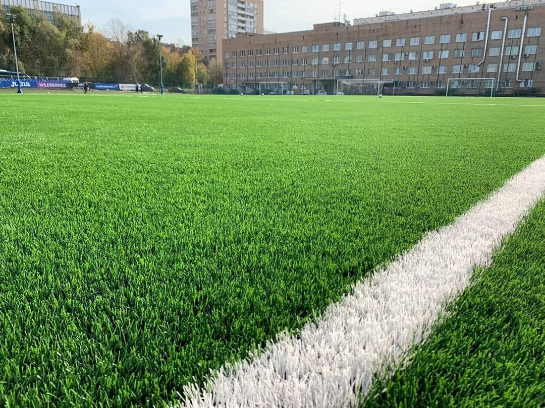 Искусственный газон EcoGrass 55 мм