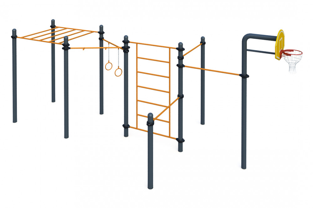 Гимнастические кольца, турники классического хвата, турник прямого хвата, шведская стенка, рукоход, баскетбольная стойка W-06-004