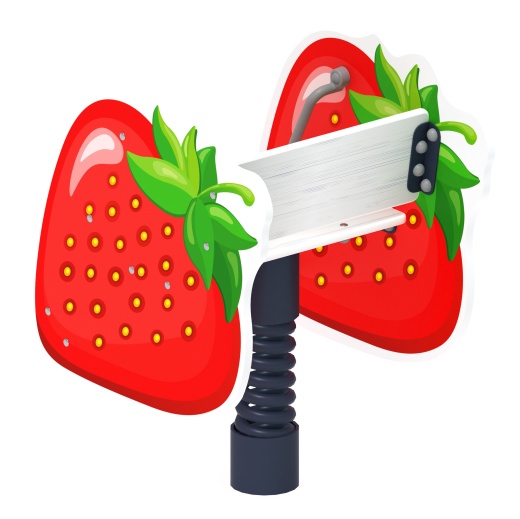 Клубника - Качалка на пружине - ИО 22.01.15-И1