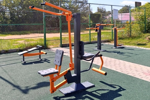 Тренажер двойной «Вертикальная тяга-Флекс» ТР-2.16