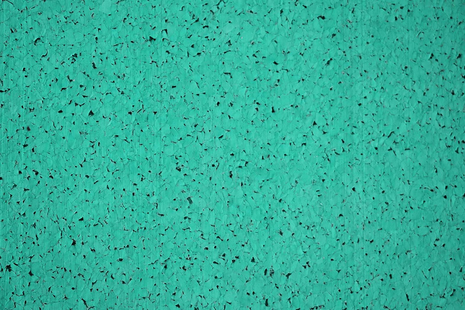 Рулонное покрытие Fitness 100