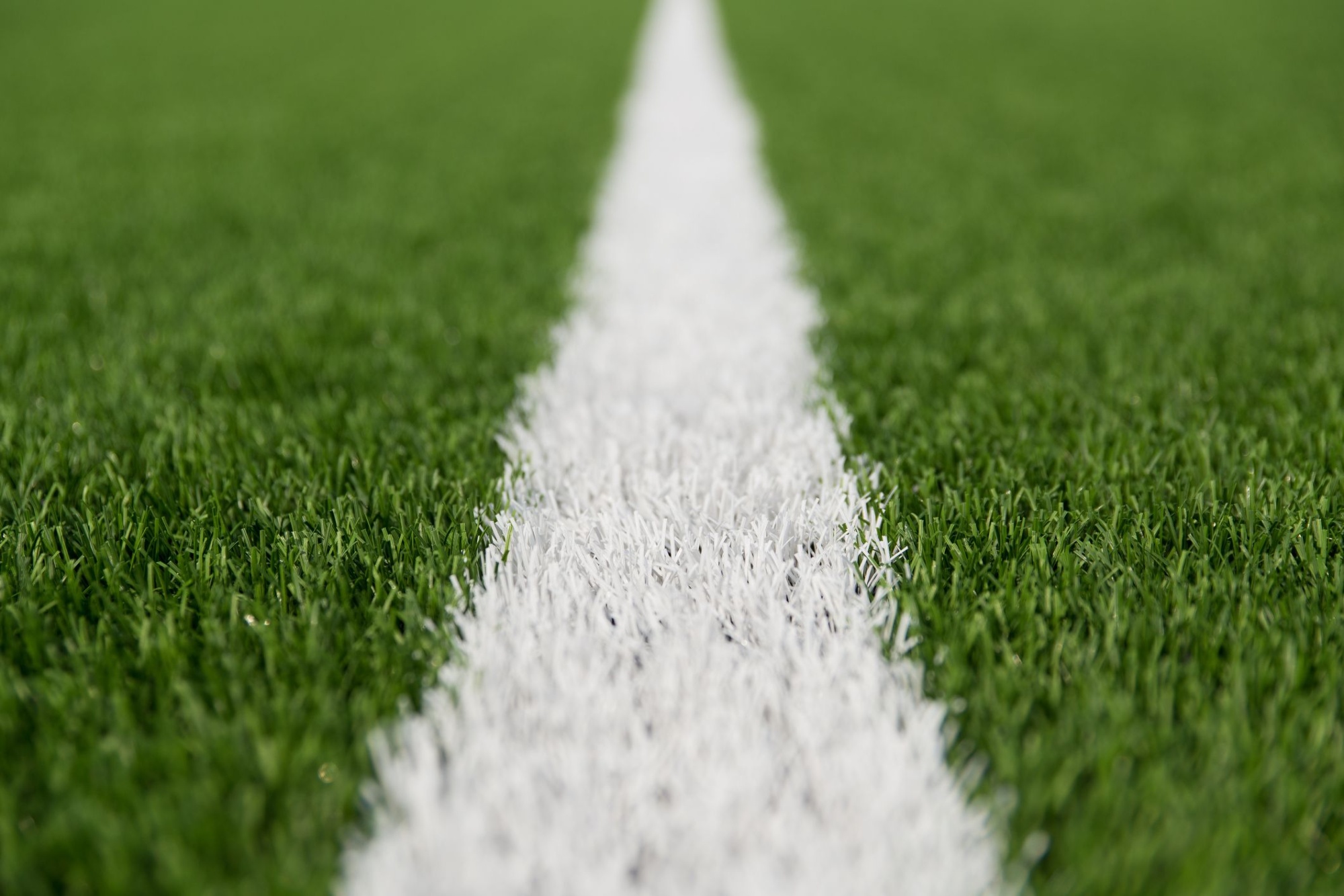 Искусственный газон EcoGrass 60 мм