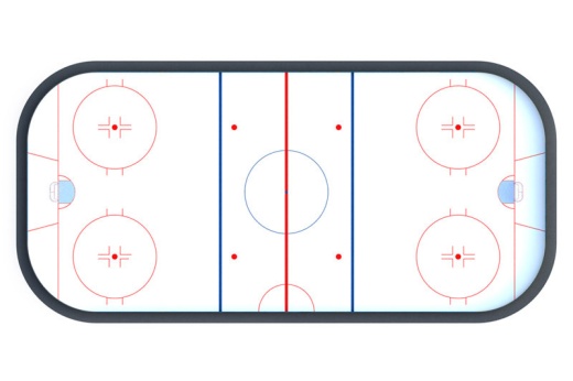 Хоккейная коробка R-7,5м. защитная сетка Н-1500мм по всему периметру ХОК-1.2