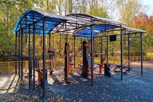 Тренажерная беседка с брусьями из 10 тренажеров на раме (в составе тренажеры ТР-1.61-1.70; ТР- 2.08) ТРК-1.2