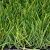 Искусственный газон EcoGrass 60 мм