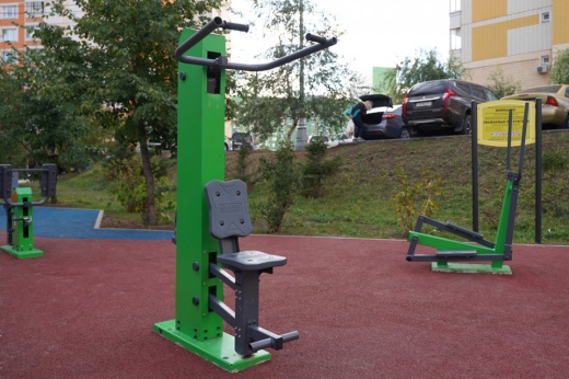 Тренажер «Вертикальная тяга» с изменяемой нагрузкой ТР-1.62.1