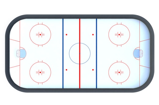 Хоккейная коробка R-5м. защитная сетка Н-1500мм за воротами ХОК-1.3