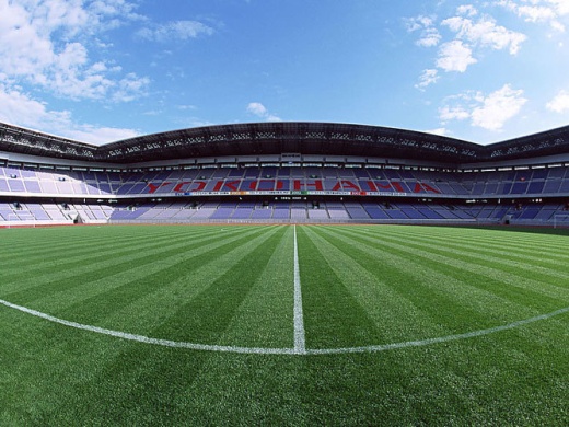 Рулонное покрытие Basic 800