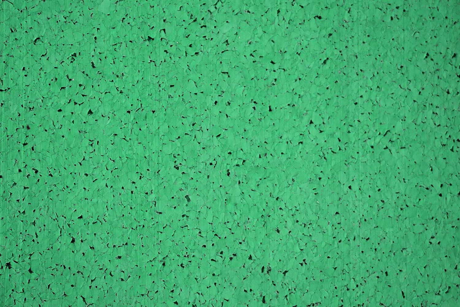 Рулонное покрытие Fitness 100