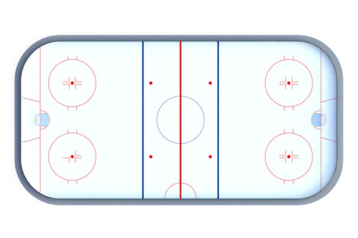 Хоккейная коробка R-7,5м. защитная сетка Н-1500мм по всему периметру ХОК-1.1