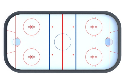 Хоккейная коробка R-5м. защитная сетка Н-1500мм по всему периметру ХОК-1.3
