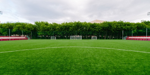 Искусственный газон EcoGrass 55 мм